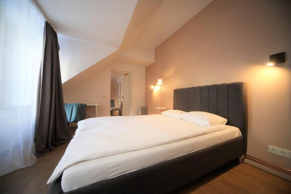 Two Bedroom / Old Town With Private Terrace Apartment Riga
